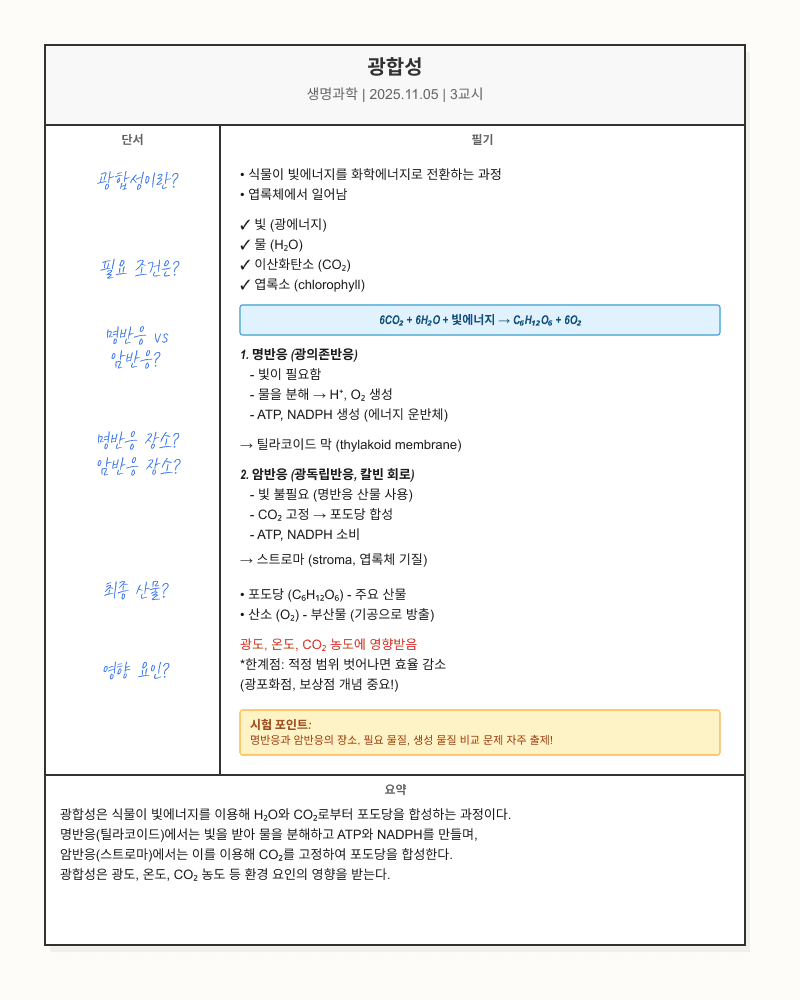 코넬식 노트법으로 정리한 예시 이미지